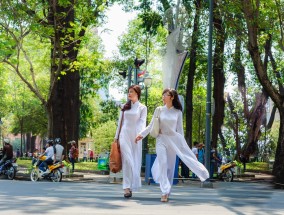 西湖区观叶盆景花卉厂家与威海老集花卉市场的魅力威海老集集市在哪里